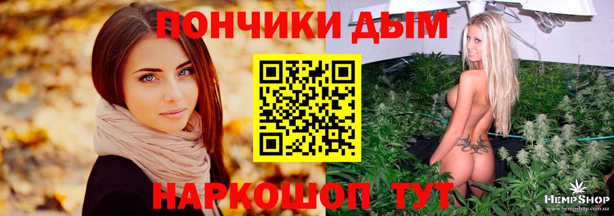 Шишки марихуана ГИДРОПОН Кызыл